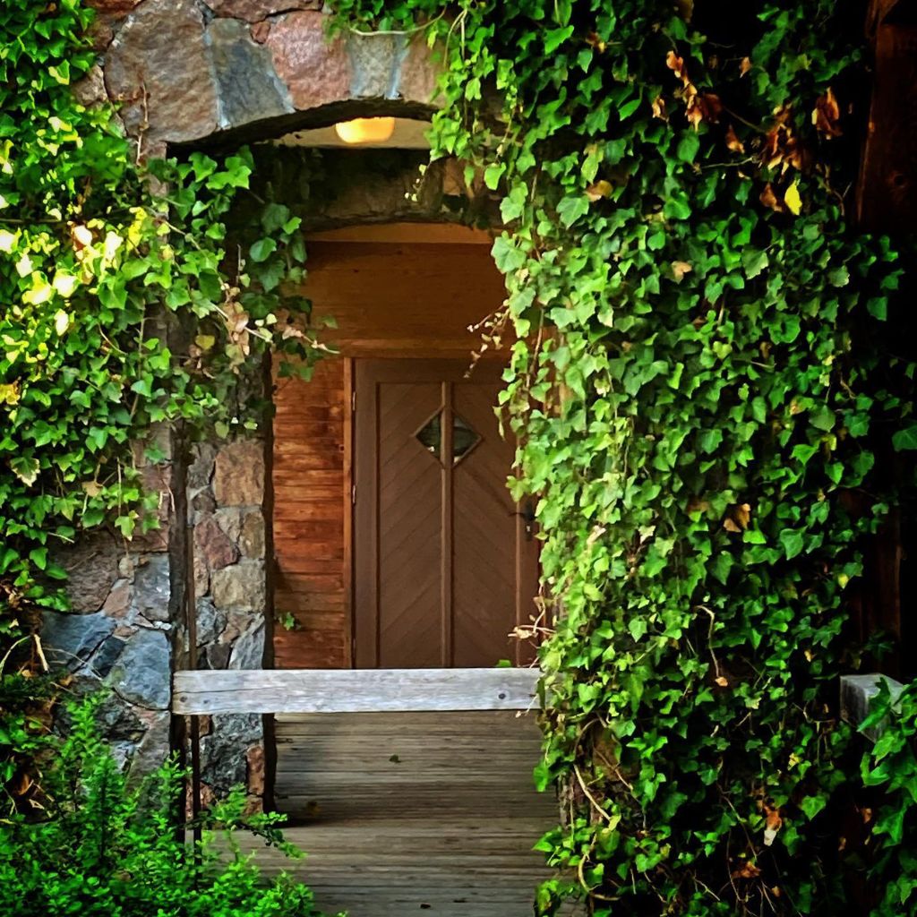 drewniane drzwi w otoczeniu zieleni bluszczu